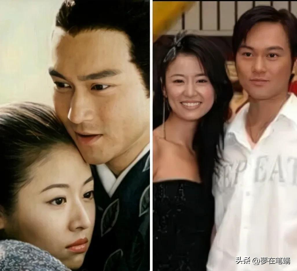 电视剧紫藤恋剧情介绍(终于明白林志颖和林心如当年为何分手了,她拍戏