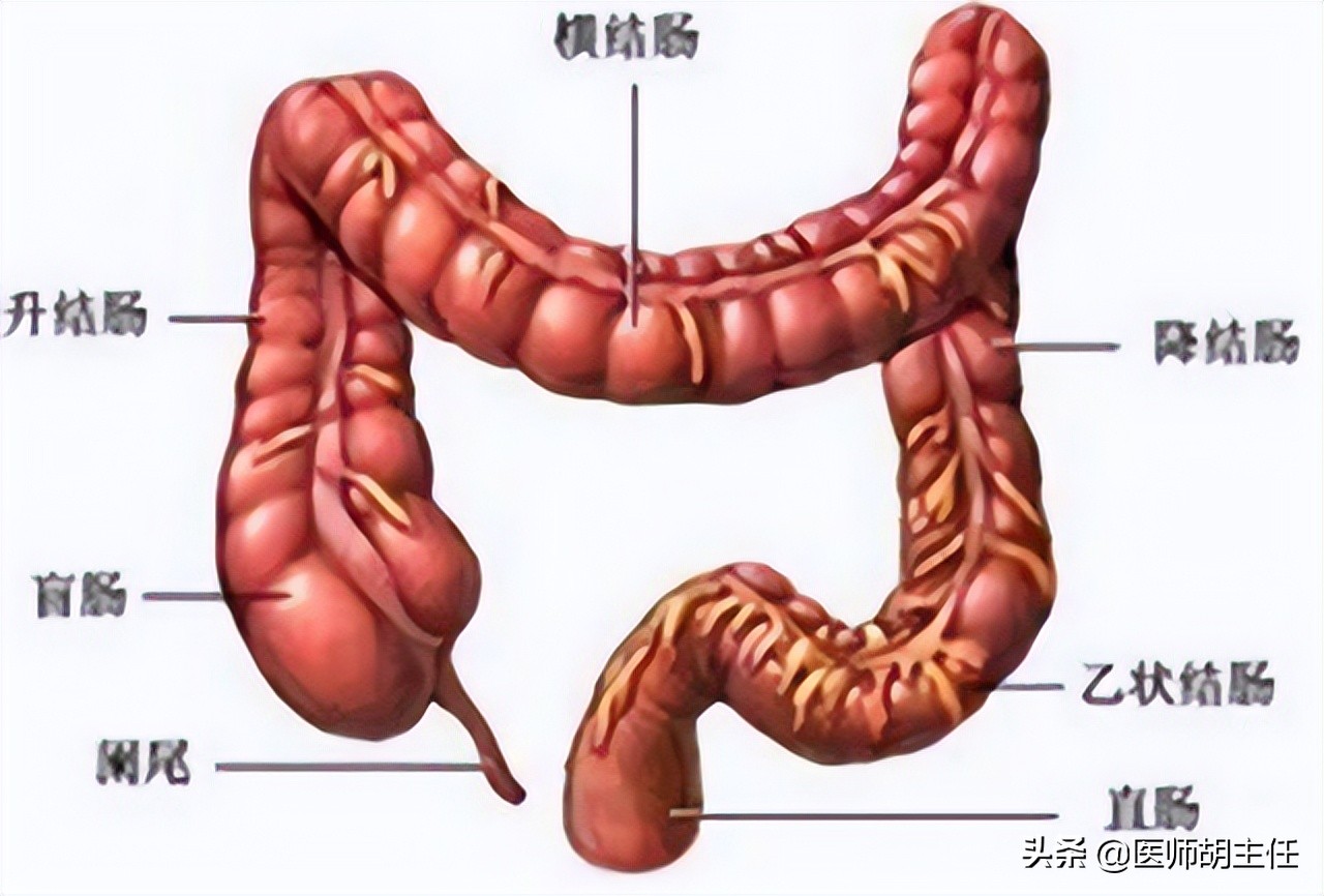 肠癌来临前，会先经历3个症状！劝告：这些高危人群不要忽略