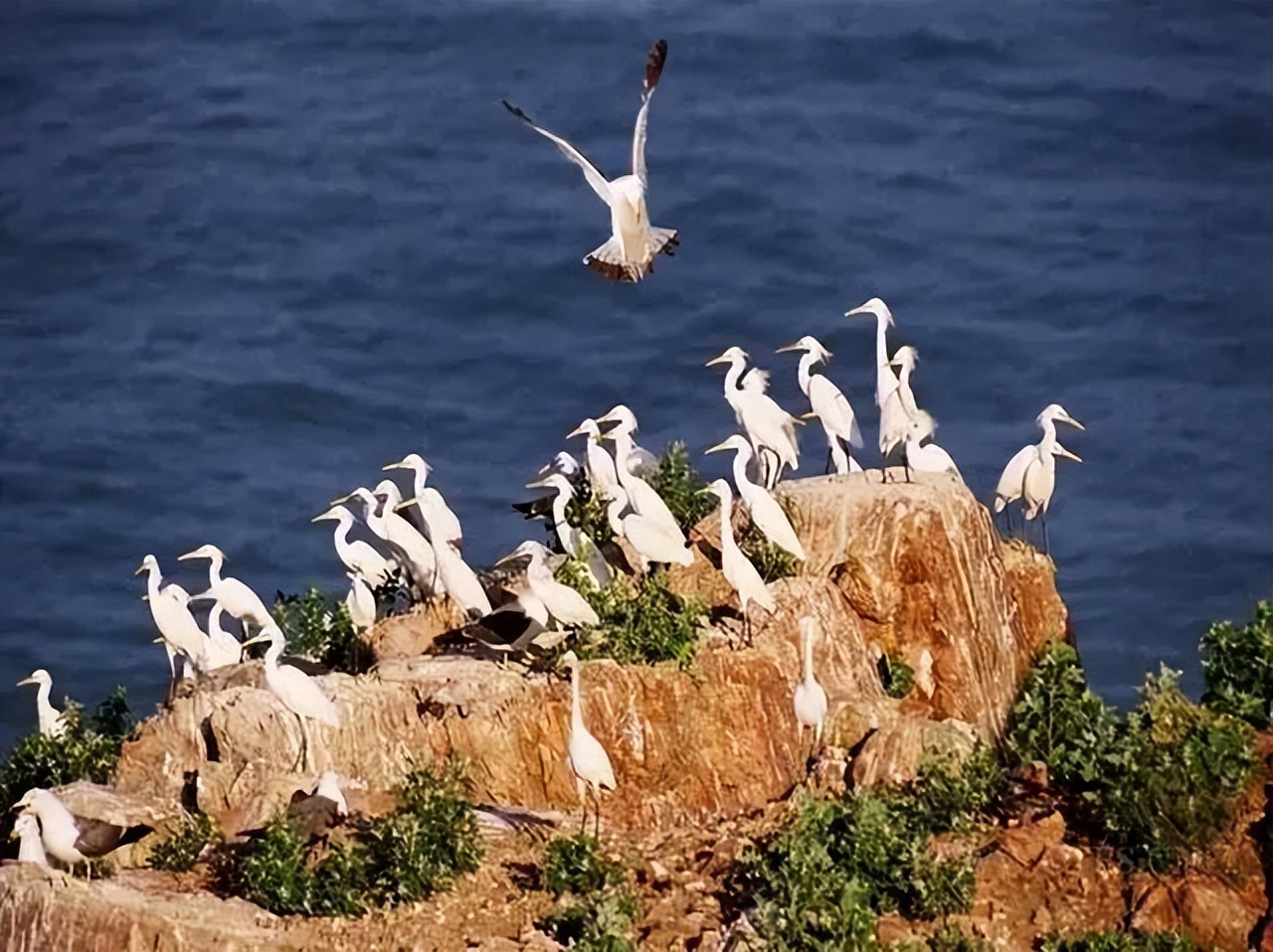 无需出国！国内12个小众海岛，人少景美，每一个都是上帝的私藏