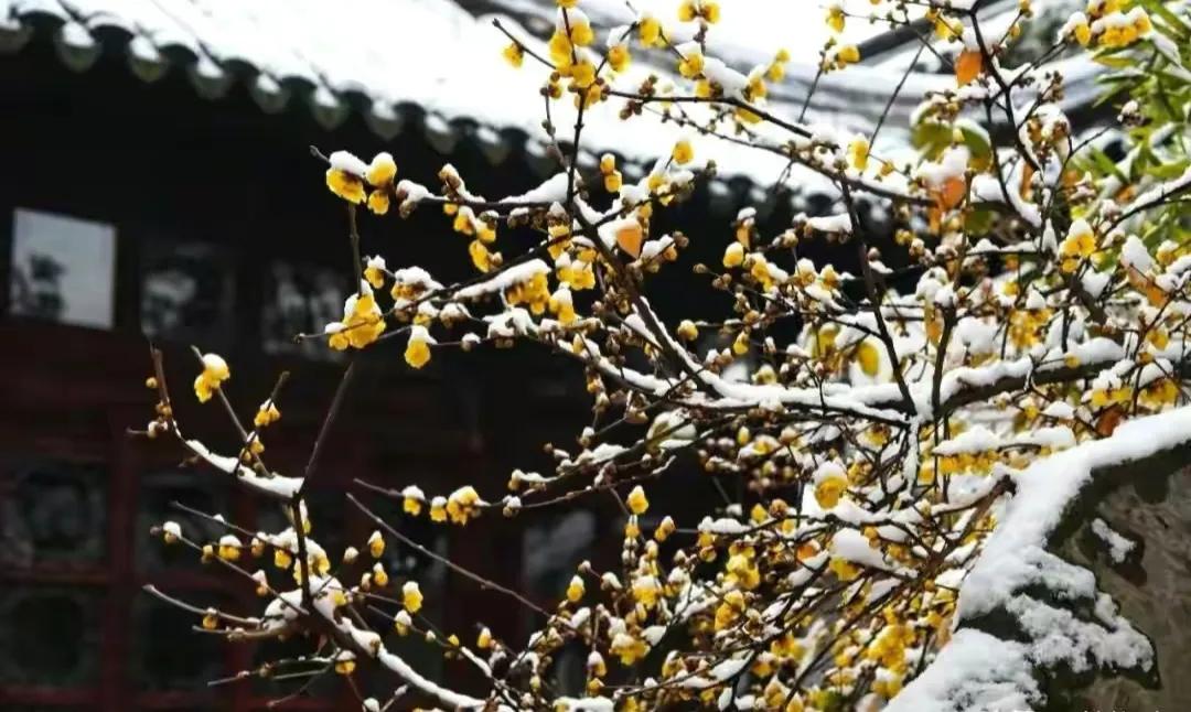 愿走遍人间所有的路，所遇皆是温柔