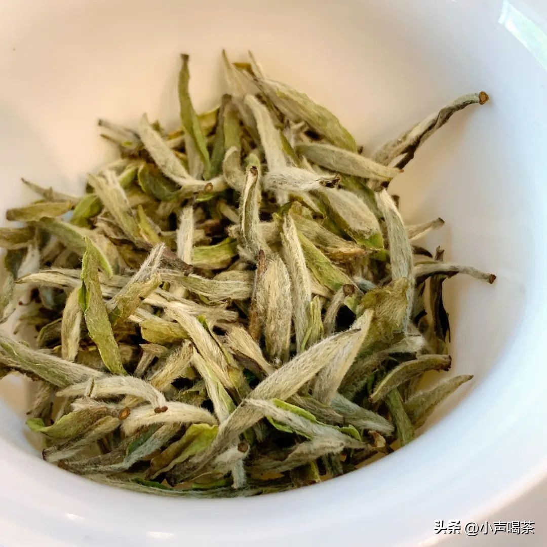 茶分为哪六大类（分享茶叶的基础入门知识）