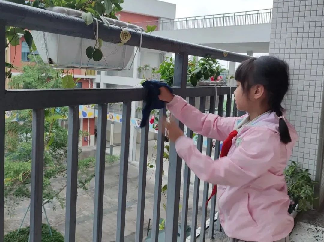劳动之底色 幸福之源泉｜记双流区实验小学外国语学校劳动系列课程