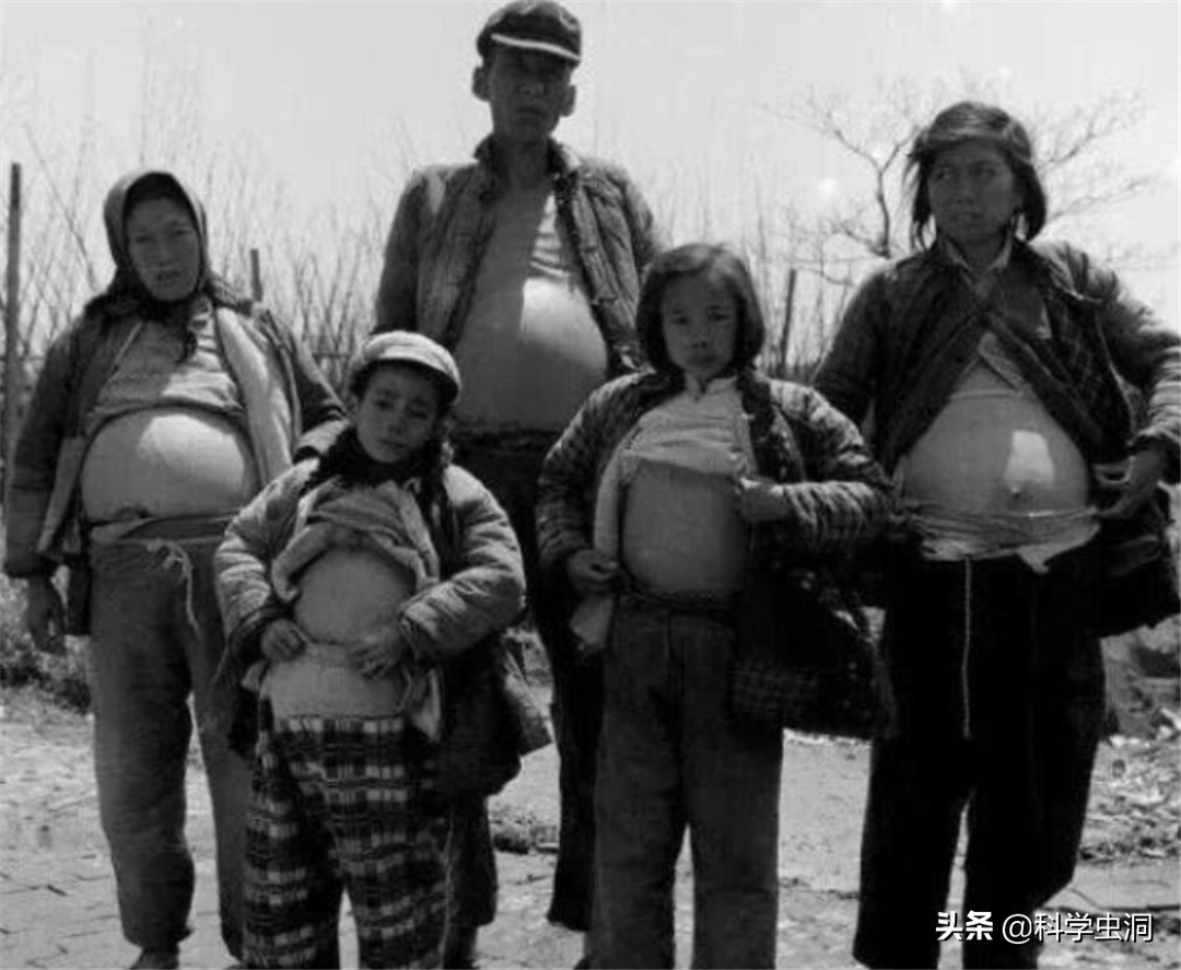 杀人最多的七种动物，第一种蚊子每年致死超72万人，你认识几种？