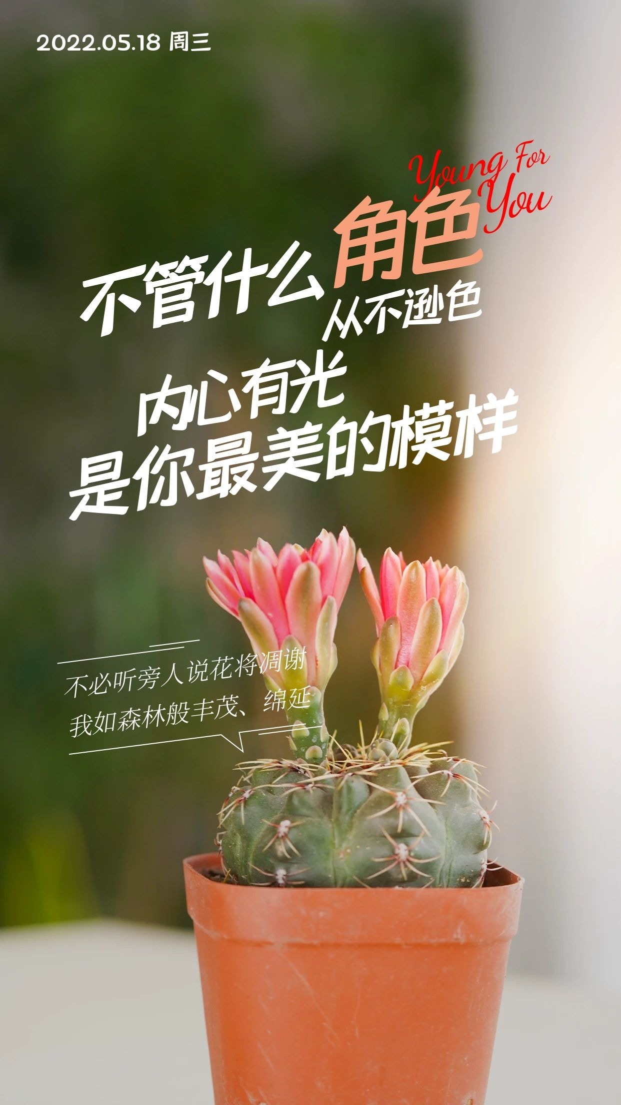 正能量早安心语图片带文字,拼搏,遇见更好的自己