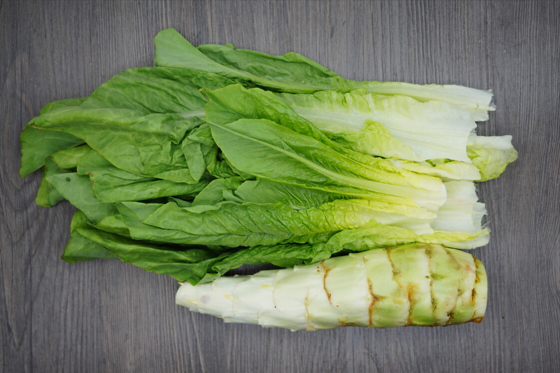 莴苣的图片(春天买莴笋) - 赤虎壹号