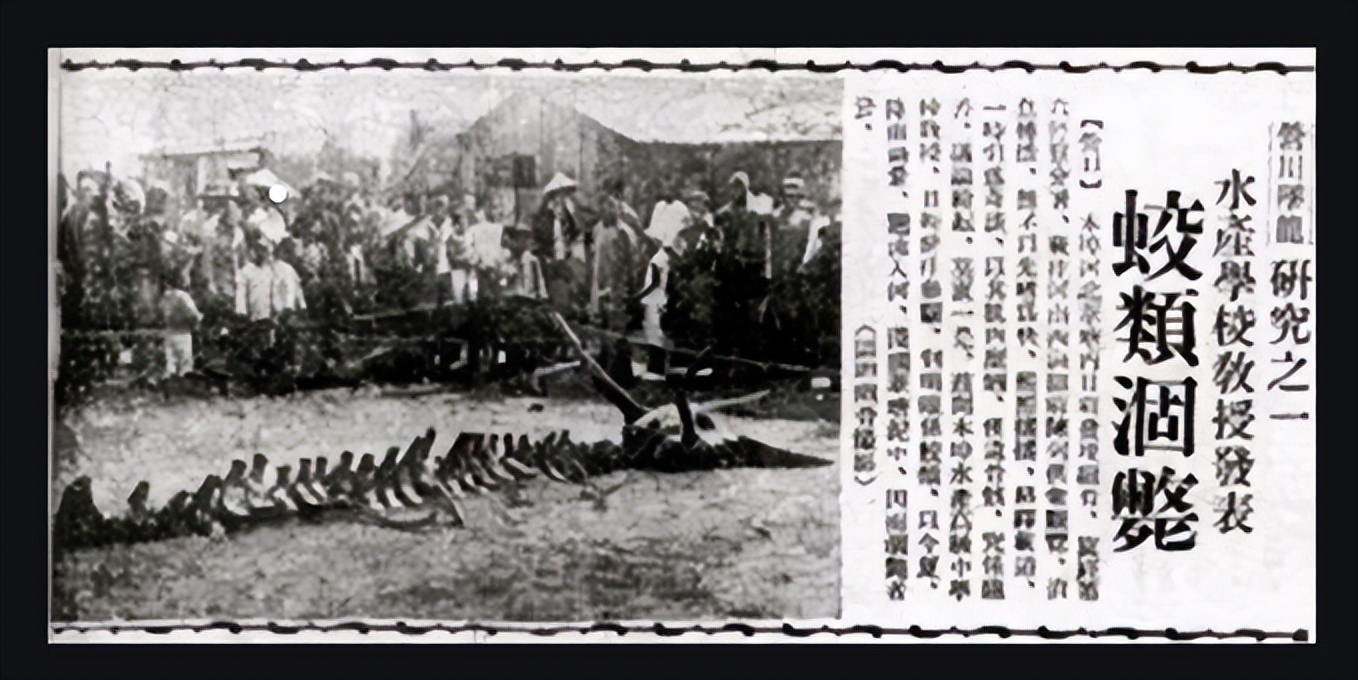 1998年，曾有数百人亲眼目睹，长江“蛟龙渡劫”事件，是真是假？