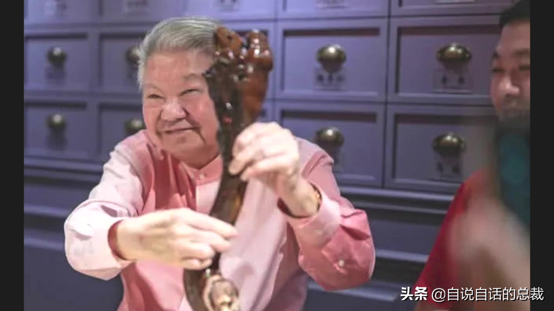 为什么动物都怕鹅？有鹅的地方没有蛇？大鹅的真实面貌超出你想象