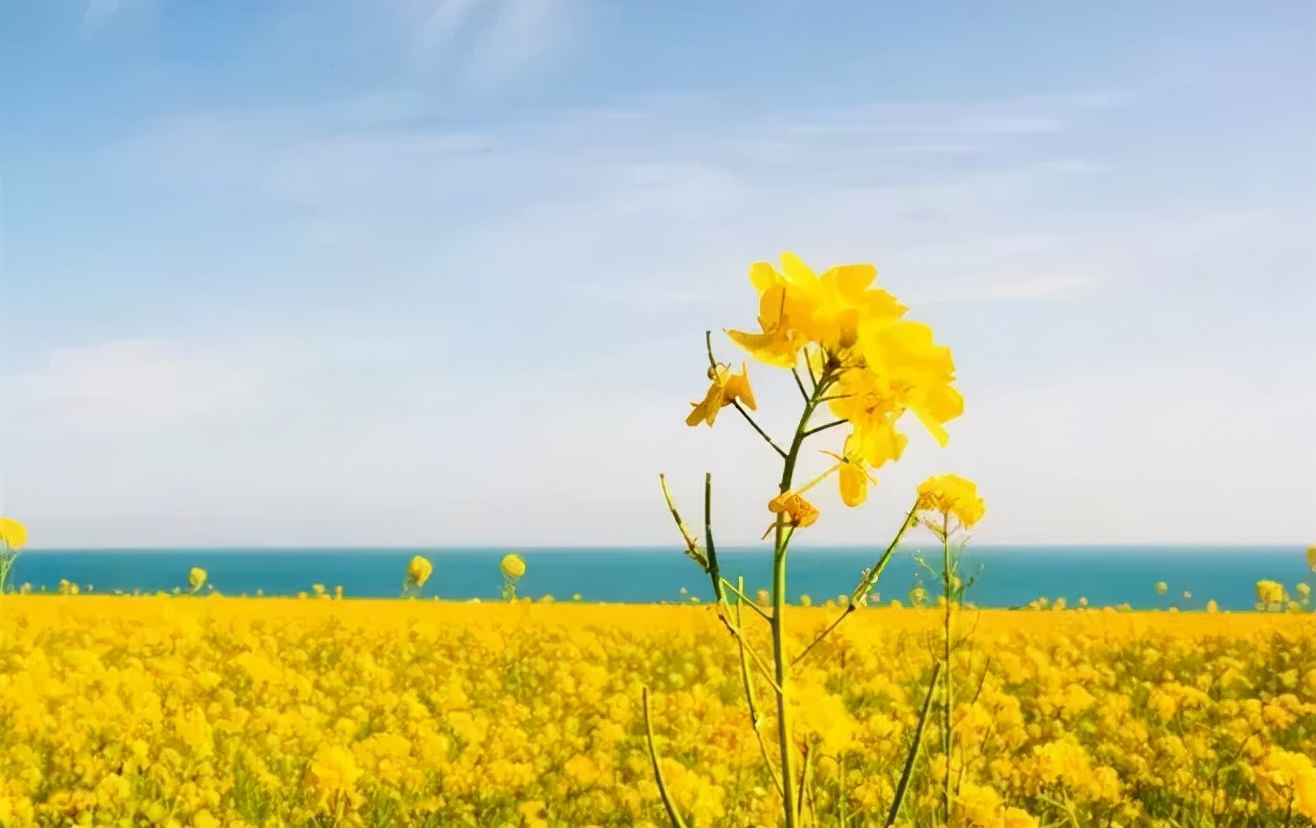 人活一世，要心存善念