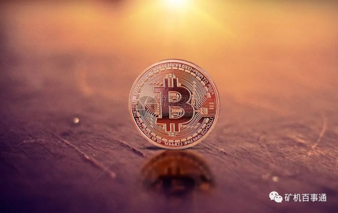 虚拟货币现在还能不能投资？投资选择哪一个？