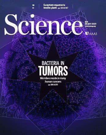 人民大学退排行榜，是因为玩不起？可你却是这个榜单的无形推广者