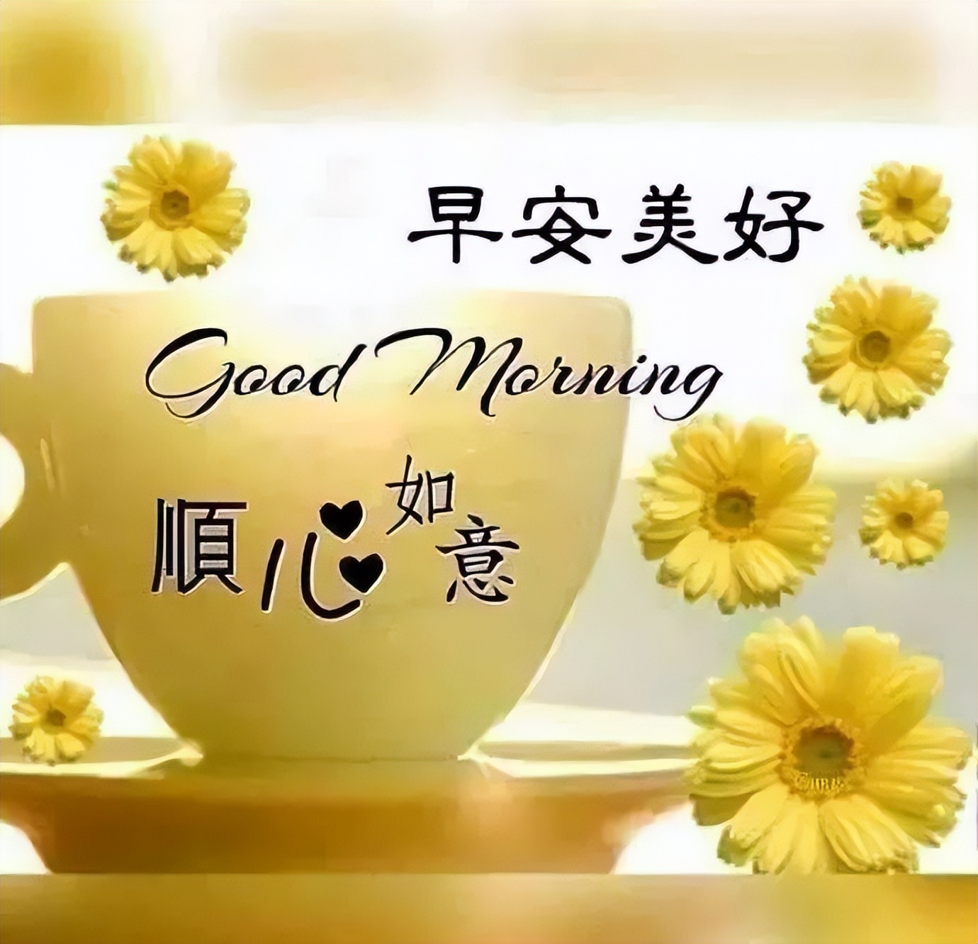 周三经典问候早上好的温馨句子,祝福朋友早晨安好,幸福快乐