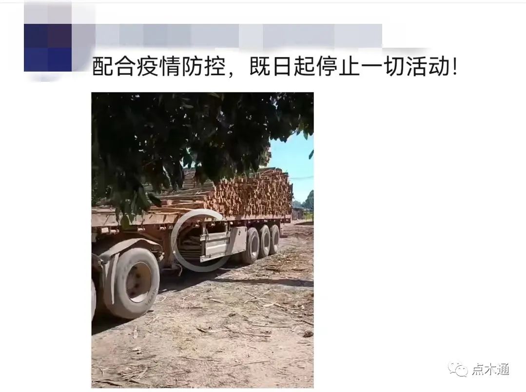 木材需求不振价格低迷，企业直呼“今年太难了”
