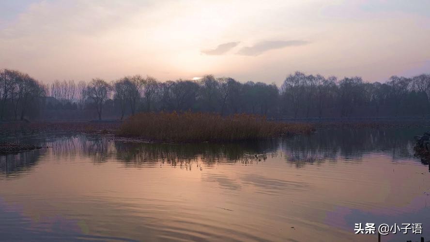 美女律师智破连环杀手“转世”谜案