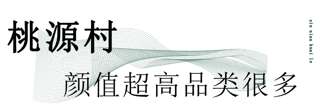 南京礼品店哪家比较好（南京必买礼物）