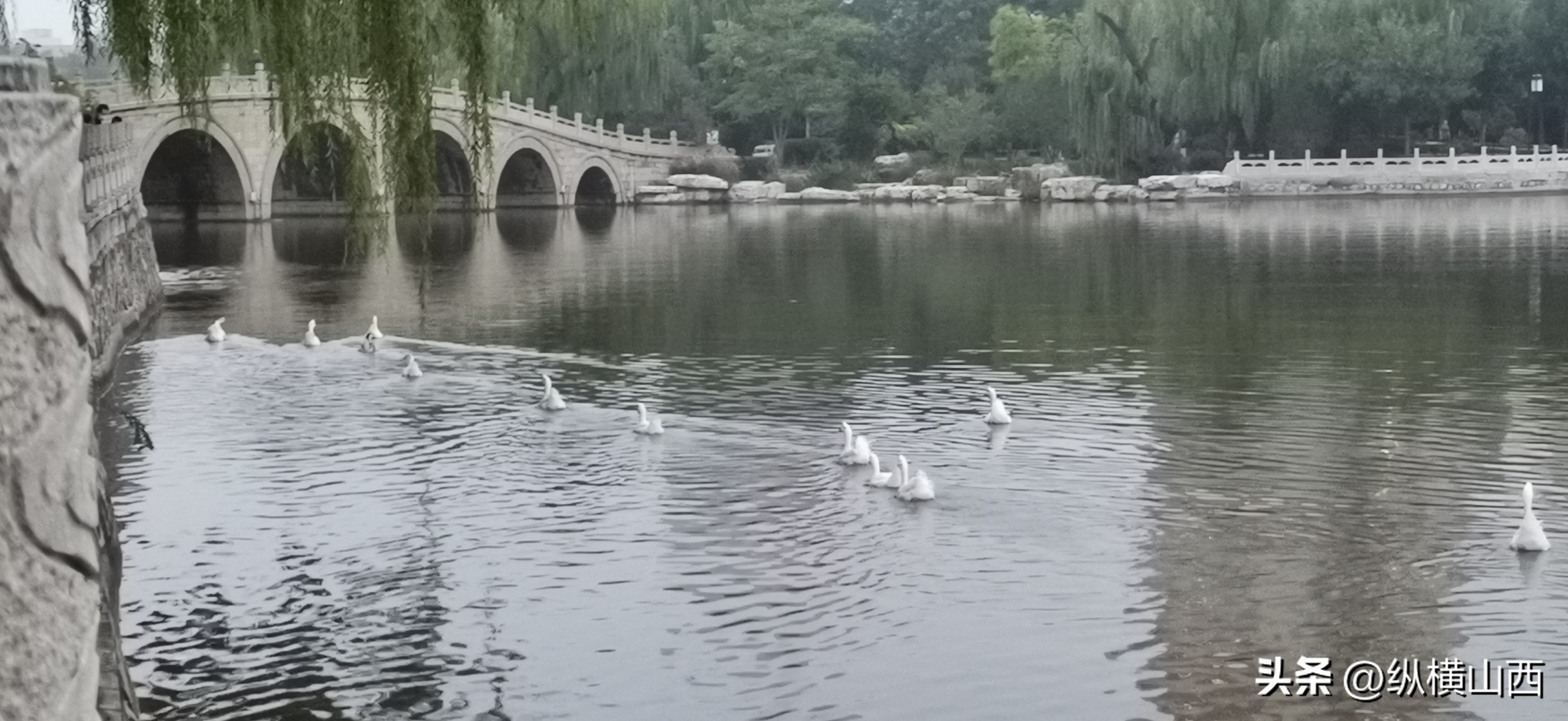 为什么我家电视不能看世界杯（山西联通电视盒看不到世界杯，用户蜂拥为有线电视机顶盒续费）