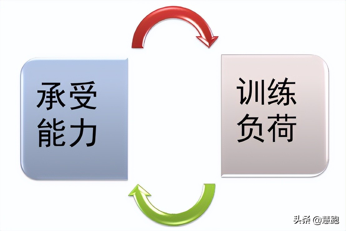 halo系统图片(F1中国车手被HALO保护系统救回一命：跑者靠什么避免运动伤害？)