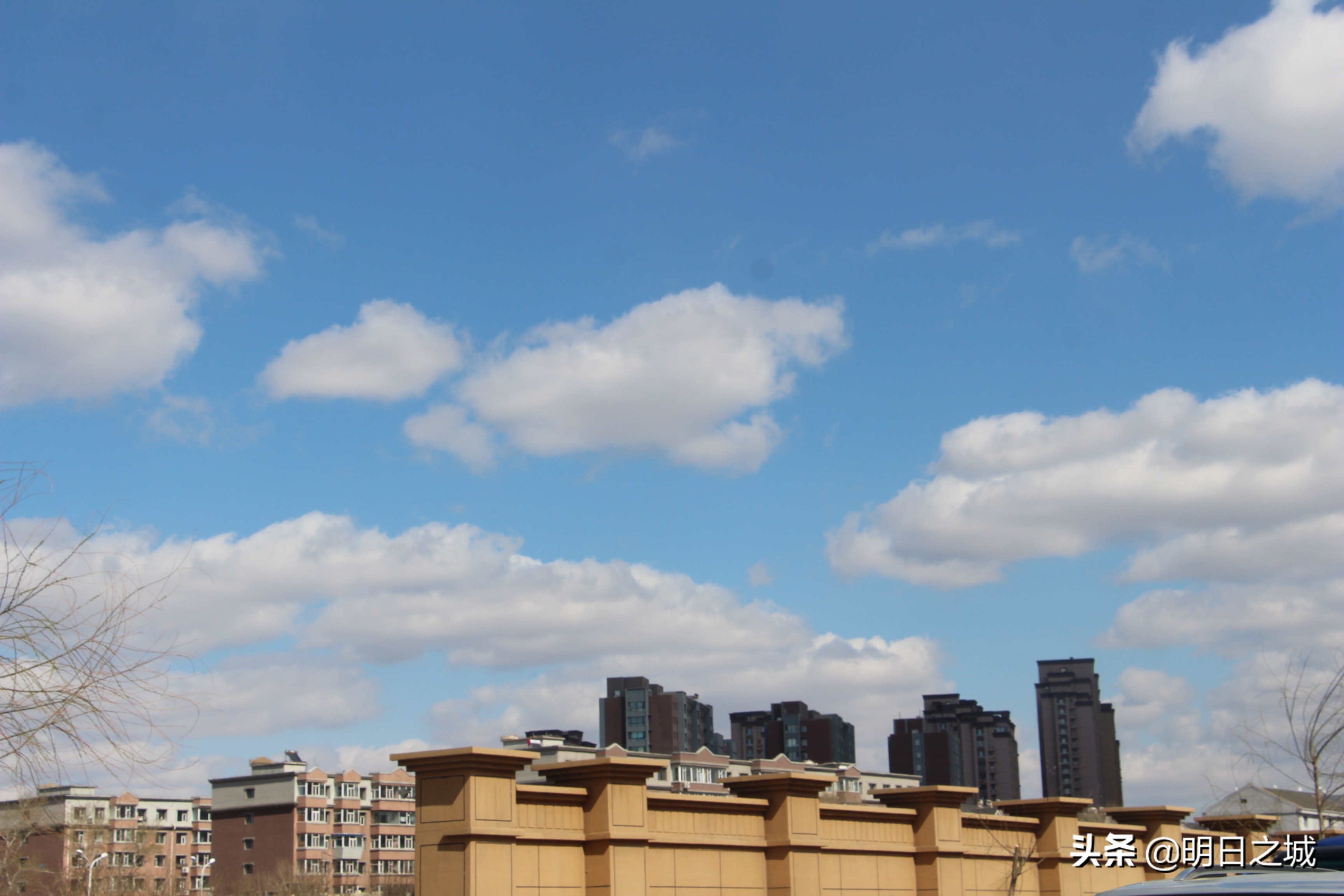 倒计时49天！高考能延迟吗？长春疫情下的高三生家长更懵圈焦虑