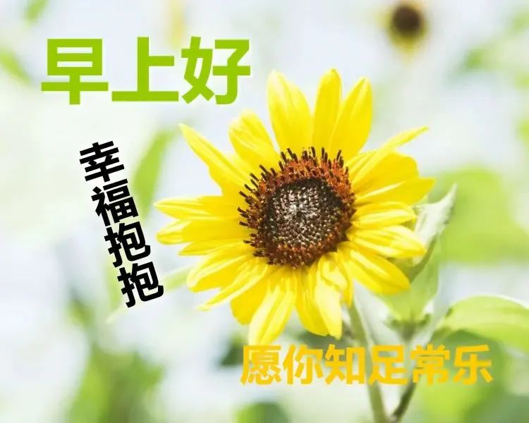 温馨的微信朋友圈早上好心情语录阳光句子 美好的今天掌握在你手里