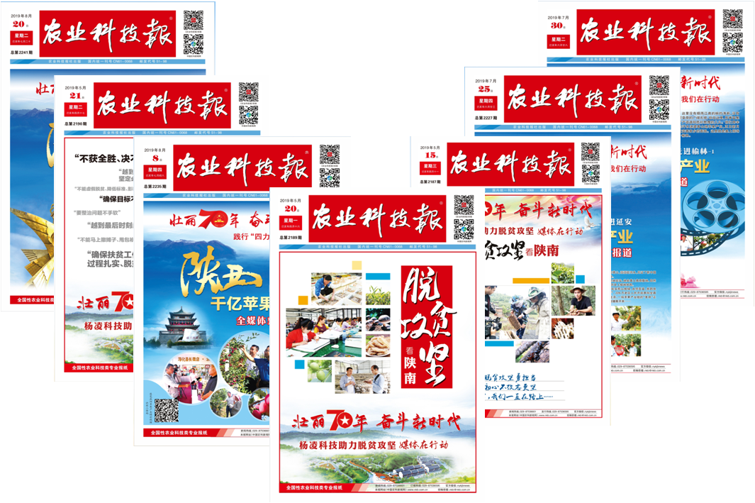 可以“听”的《农业科技报》——《农业科技报》数字报新增读报功能