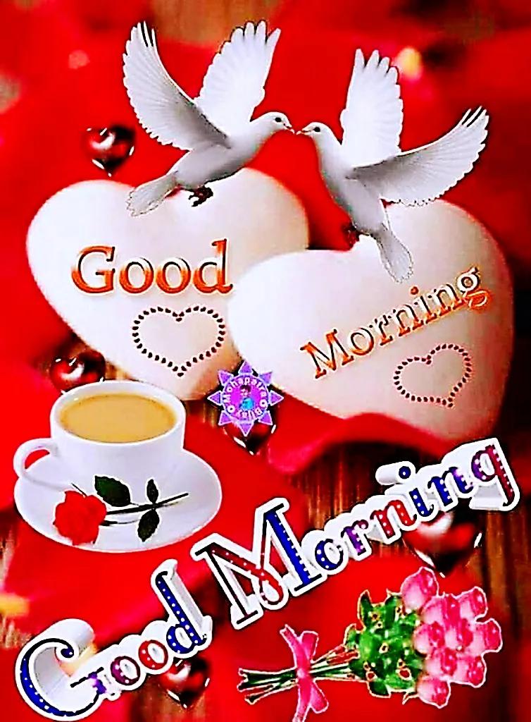 祝福语:早上好,good morning