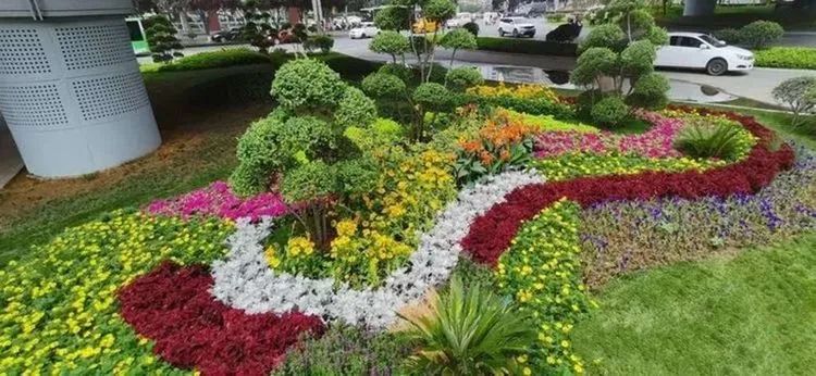����о�ϸ���� �����������쾫Ʒ