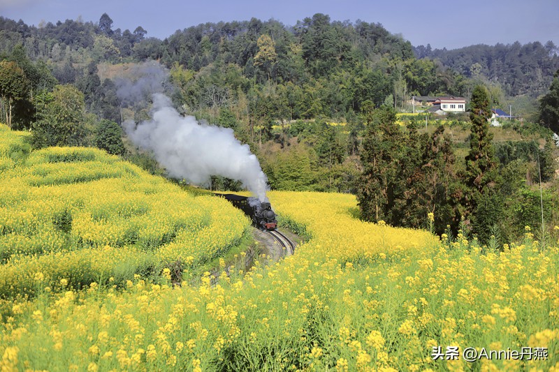 嘉阳小火车旅游攻略和价格（嘉阳小火车路线路程）