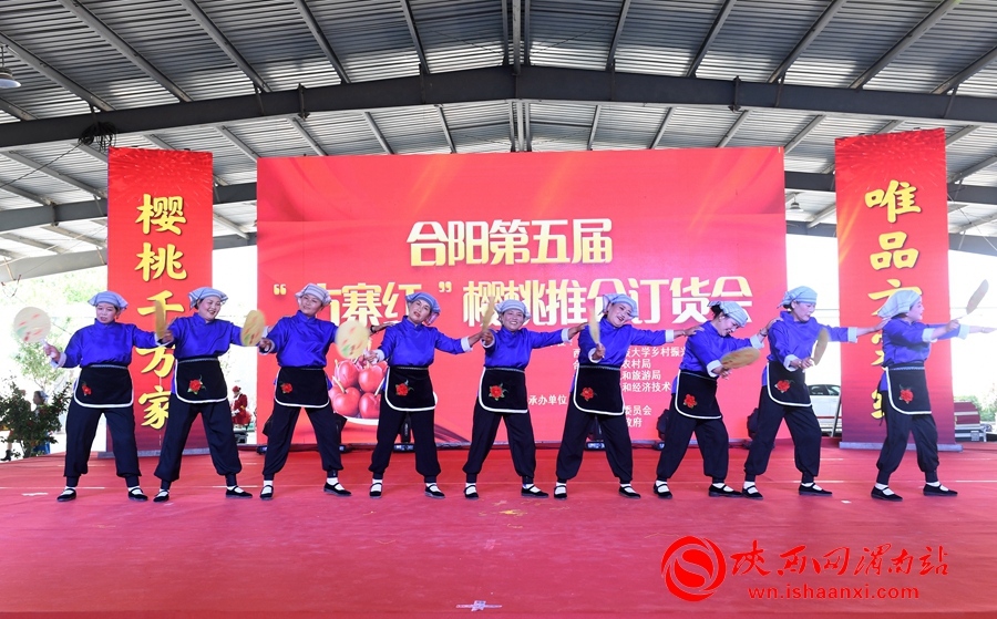 櫻桃千萬家 唯品方寨紅 合陽第五屆“方寨紅”櫻桃推介會舉辦（高清組圖）