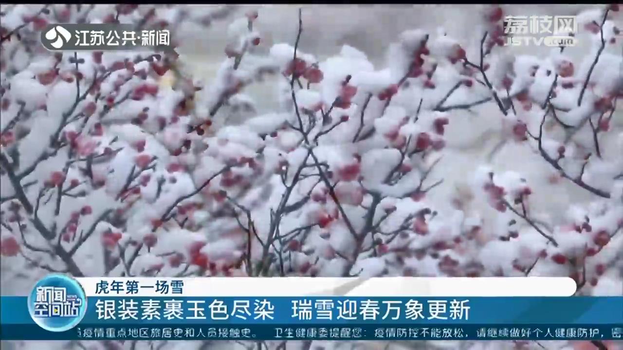 瑞雪迎春！江苏大地万象更新