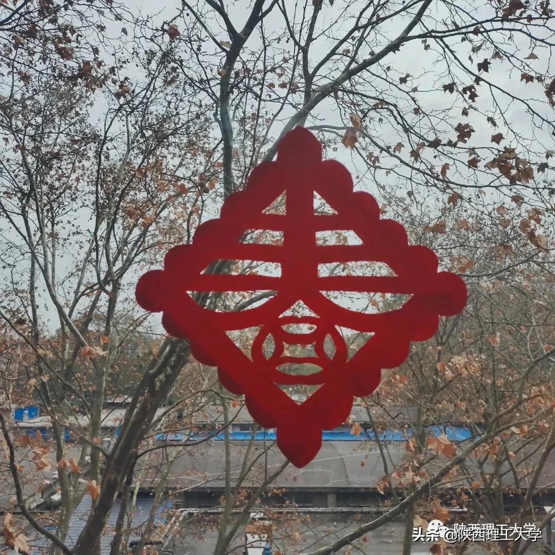 宅宿抗疫丨看理工学子花式宿舍生活