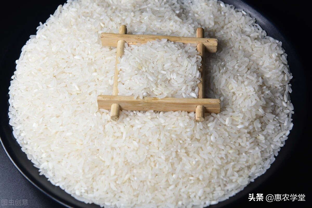 大米价格今日价河南省「今日大米价格最新行情」