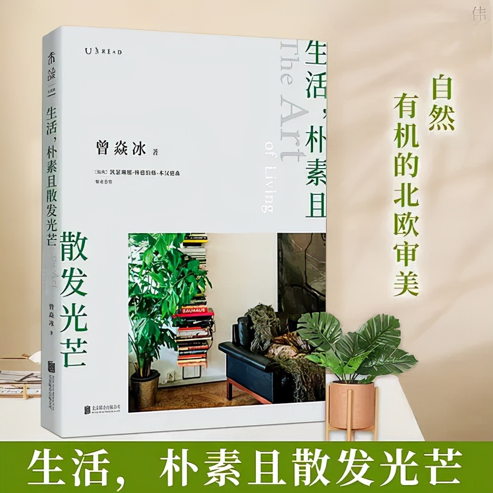 细节中的温柔：如何在日常中营造生活的仪式感