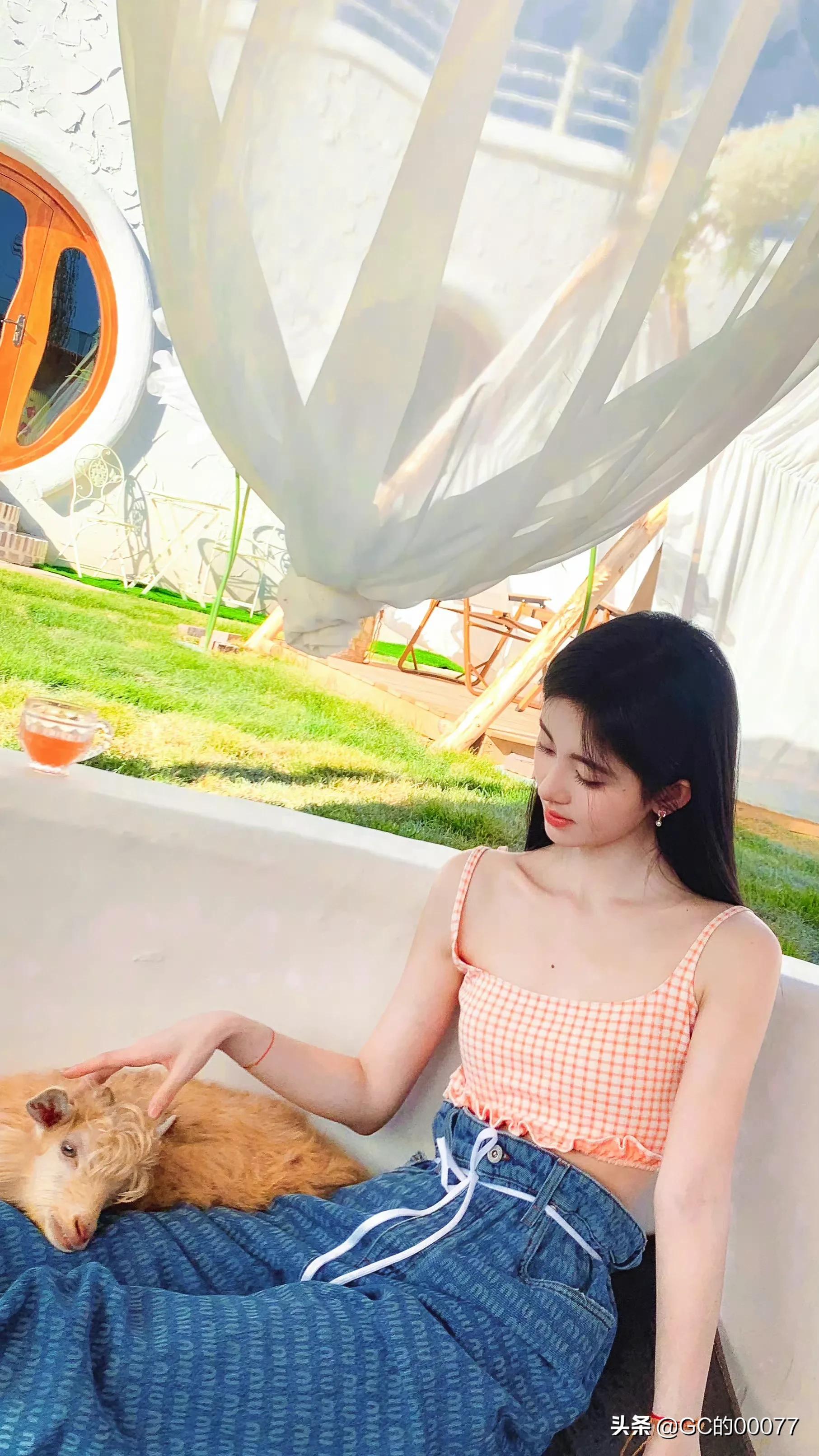 明星图片鞠婧祎