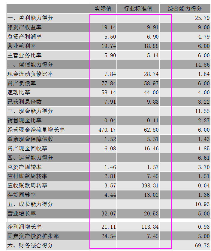 详细版企业年度财务分析报告