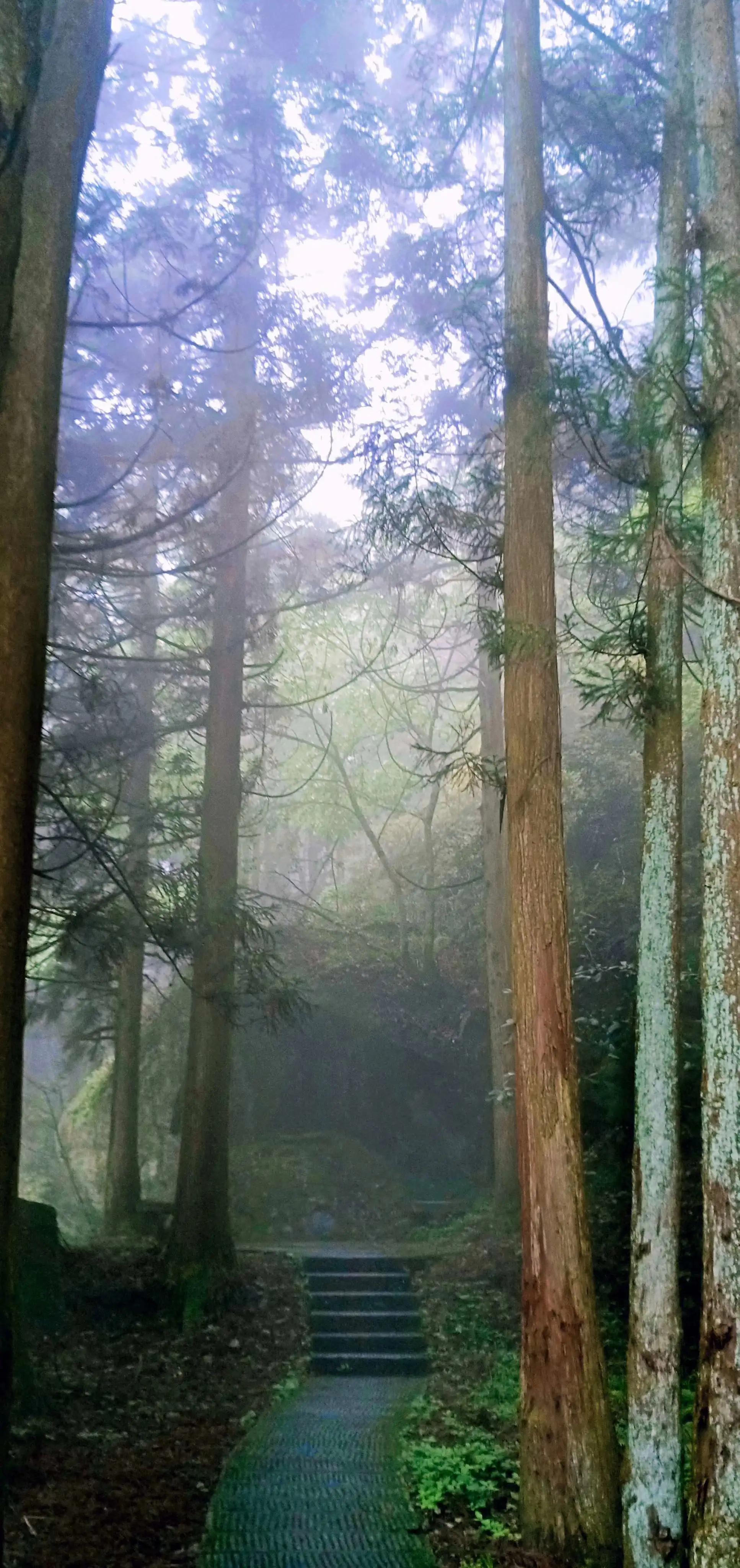 游南山有感（原创）