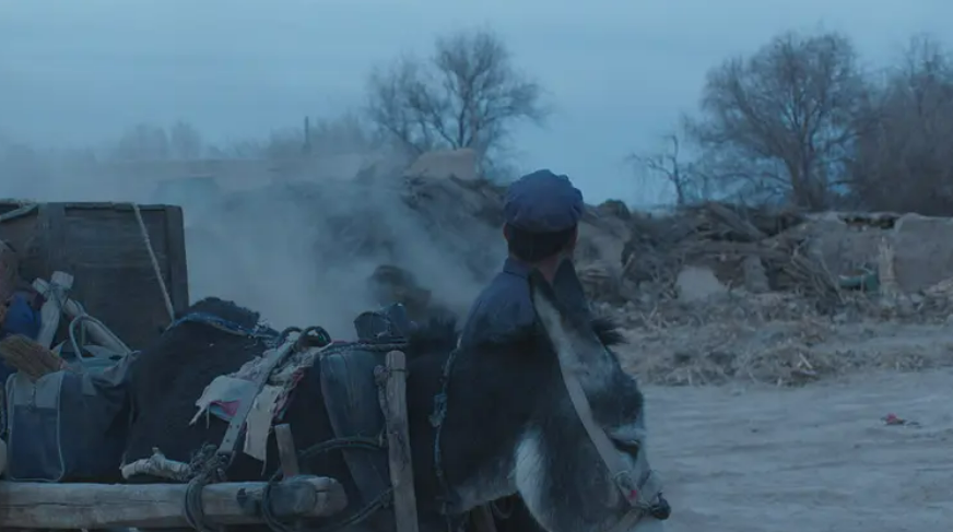 今年最高分良心之作，再不看没机会了