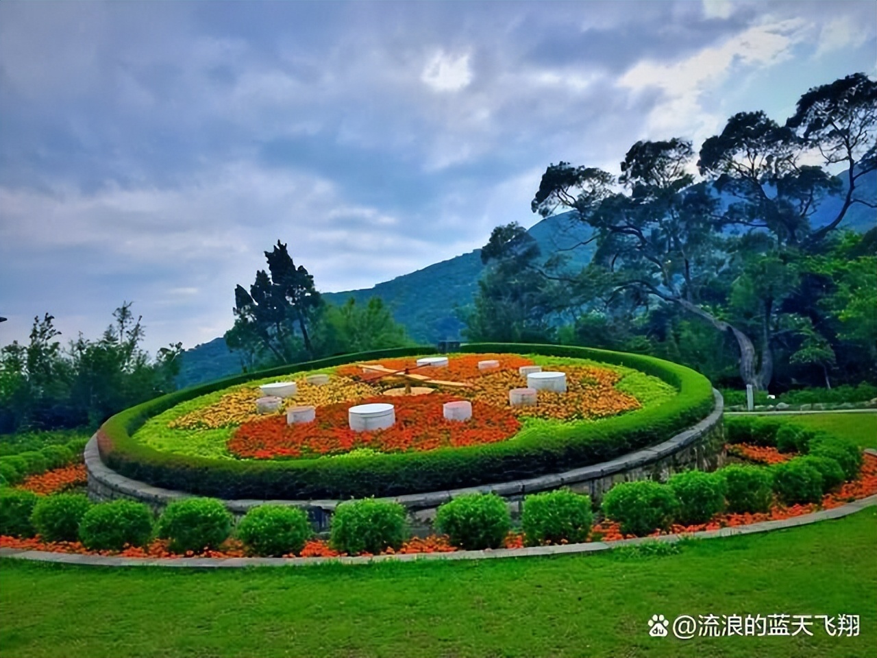 台湾和上海哪个面积大（台湾和上海面积和人口）-第23张图片-科灵网