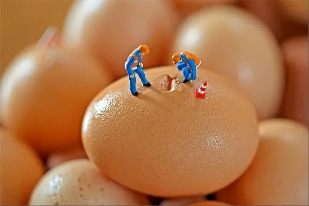 小人国的故事 大人国和小人国绘画-朝阳百科