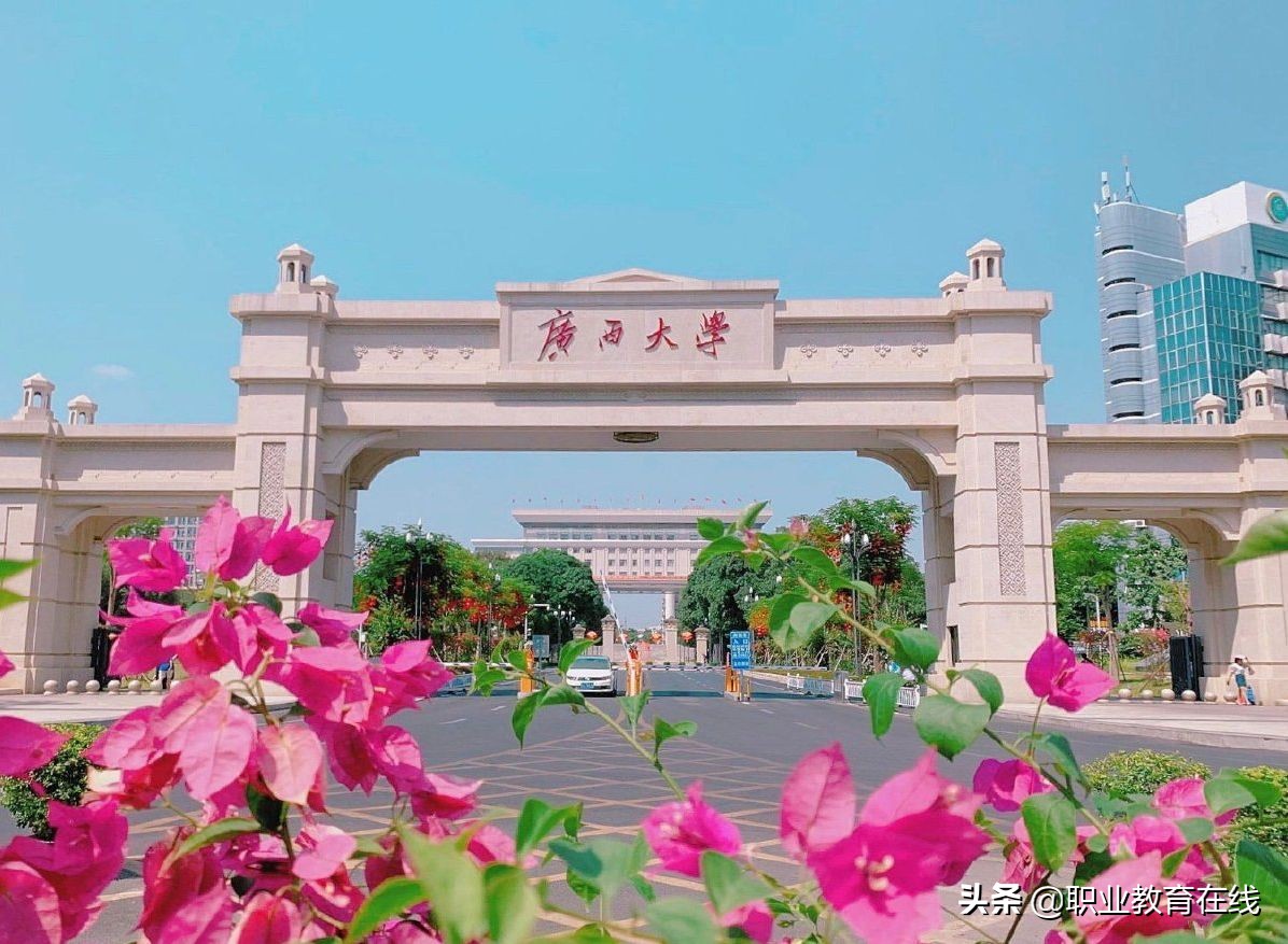 为什么沿海的广西只能归为西部省份？看看广西的高校