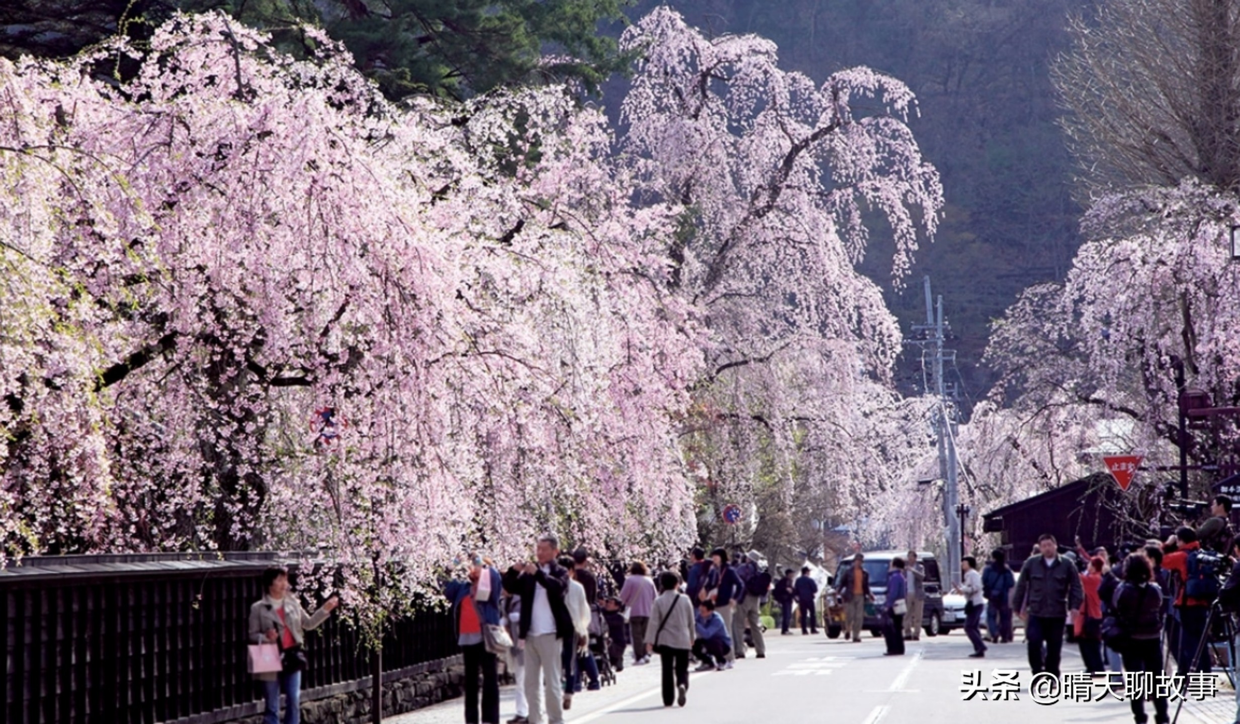 日本旅游景点，日本旅行推荐的旅游景点？