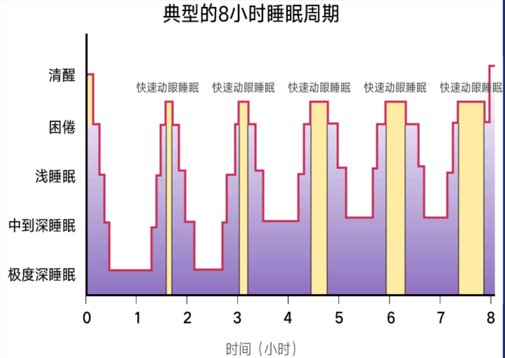 半夜发抖怎么回事(睡觉时身体突然「抖」一下，不是大脑怕你死！多年的疑惑解开了)