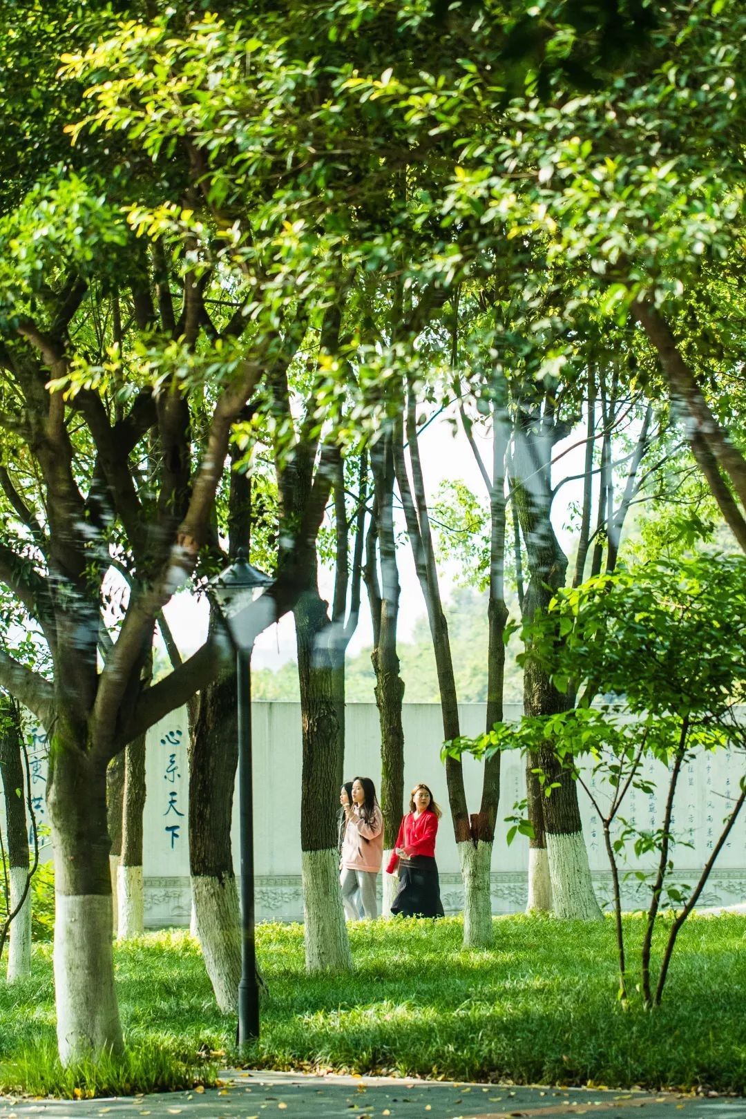 师资“高配”！就业广阔！重庆3位保研学霸，硬核安利“宝藏”专业！