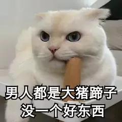 大猪蹄子是什么意思（男人像大猪蹄子是什么意思）-第3张图片-华展网