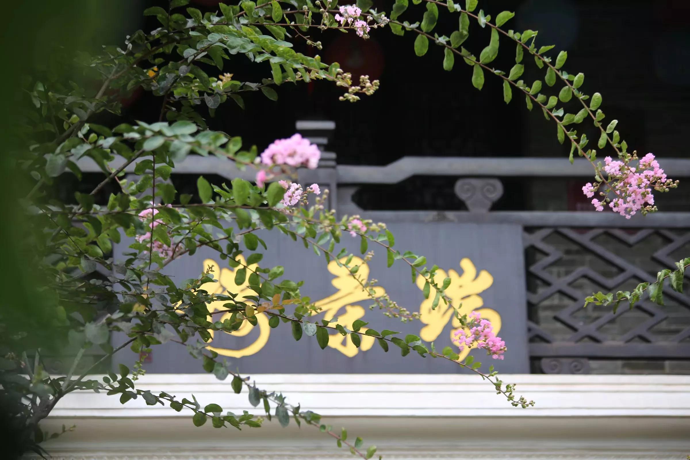 余荫山房•紫薇