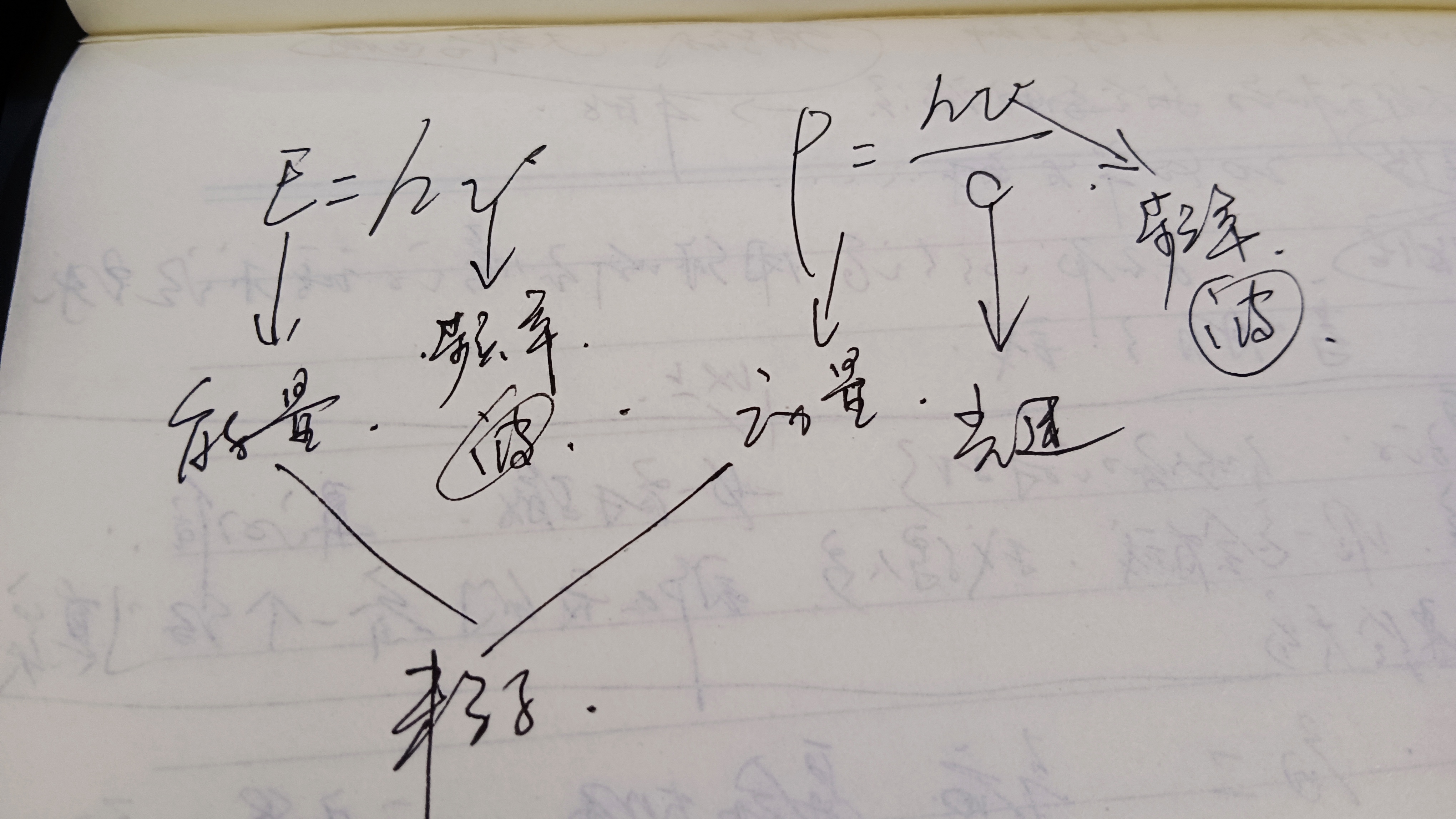 光子具有动量，但是“打”在我们身上，为什么不疼？