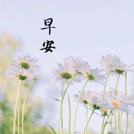 美好的一天从清晨开始表情包「美好的一天从清晨开始」_爱阅读