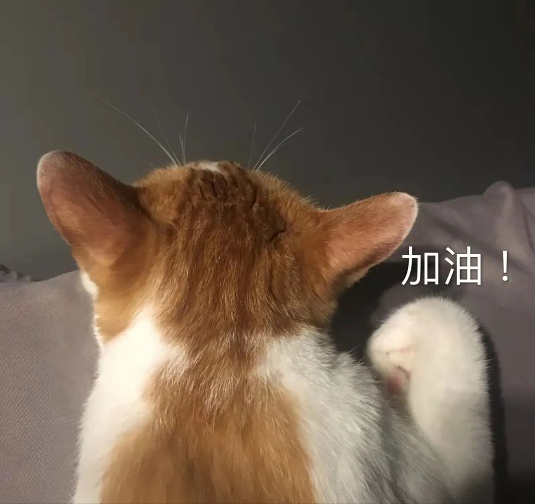 又到了QS百强院校角逐的时候了，看今年英国百强院校有哪些？