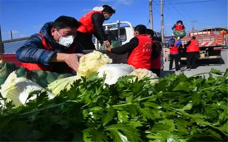 过年暴利小生意有哪些，当下在农村做什么最有前途？