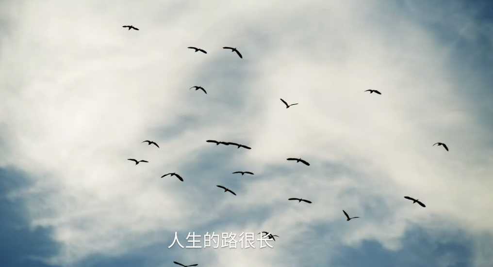 中央一台最新电视剧2022(《人生之路》今晚央1开播，15位实力派坐镇，有成“剧王”的潜质)