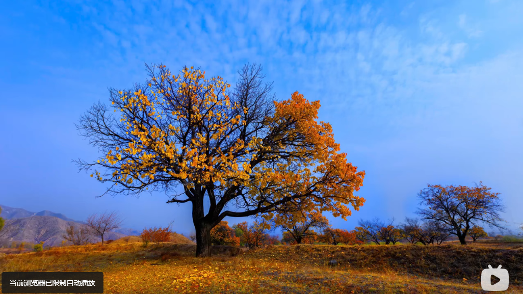 分享20个备受好评的PS自学宝藏，转给身边的大学生