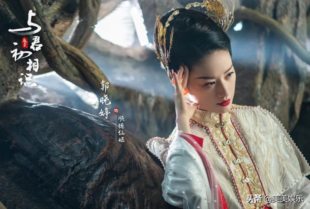 花楹(花楹最后的结局) - 武陵观察网